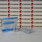 Test Prop 100 mg Organon