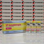 SP Gonadotropin 1000 IU SP Laboratories