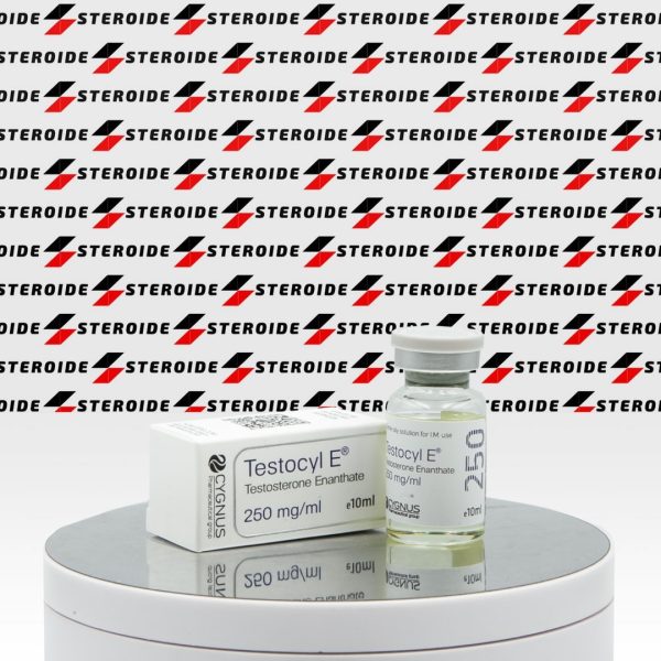 Testocyl E 250 mg Cygnus
