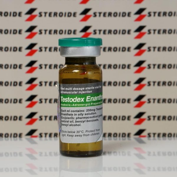 Testodex Enanthate 250 mg Sciroxx