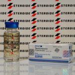Testosteron Cypionate U.S.P. 200 mg Zhengzhou