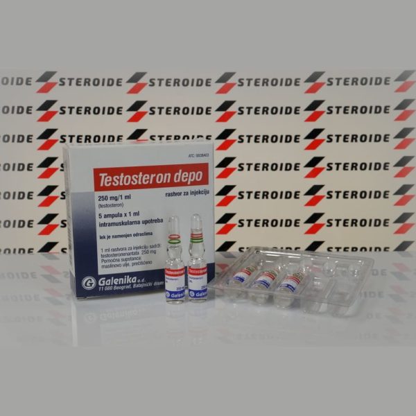 Testosteron Depo (Testosteron Enanthat) 250 mg Galenica