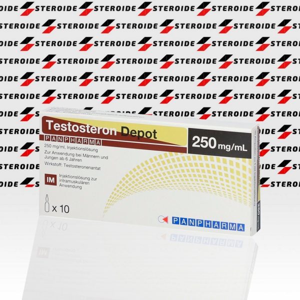 Testosteron Depot 250 mg Panpharma