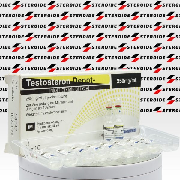 Testosteron Depot – 250 mg Rotexmedica
