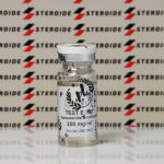 Testosteron E 250 mg Prime