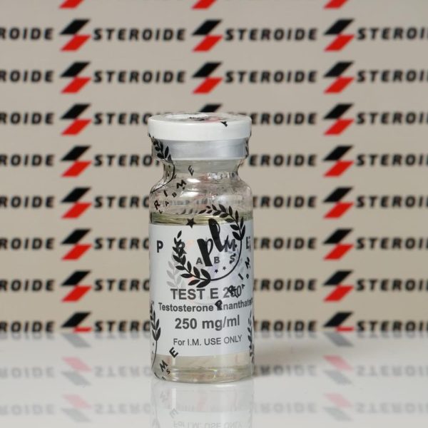 Testosteron E 250 mg Prime
