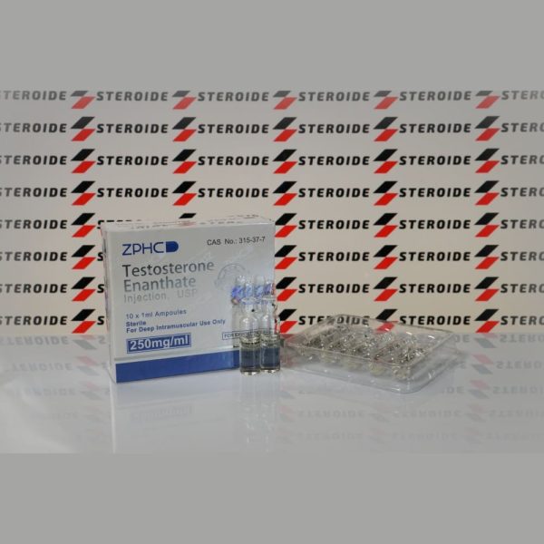 Testosteron Enantate U.S.P. 250 mg Zhengzhou