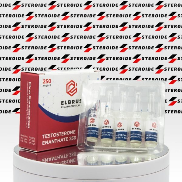 Testosterone Enanthate 250 mg Elbrus Pharmaceuticals