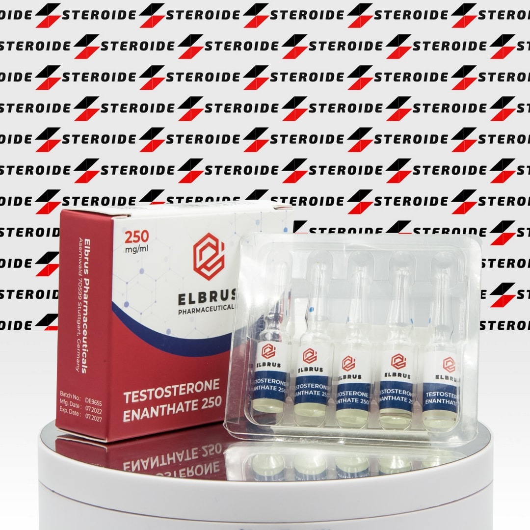 Testosterone Enanthate 250 mg Elbrus Pharmaceuticals